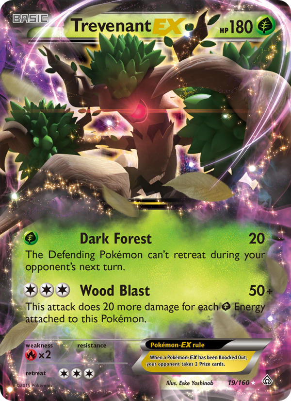 xy5-19